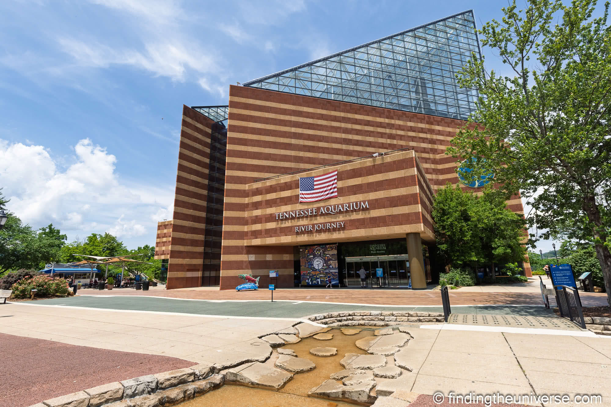 Tennessee Aquarium Chattanooga by Laurence Norah