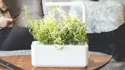 Indoor planter with herbs