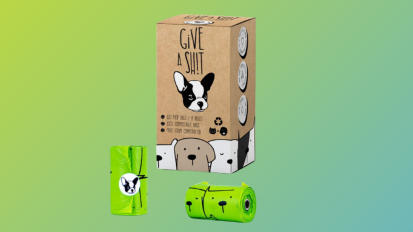 Doggie bags and packaging on blue and green background