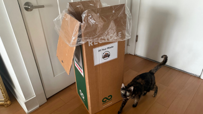 Cat walking in front of TerraCycle ZeroWaste box