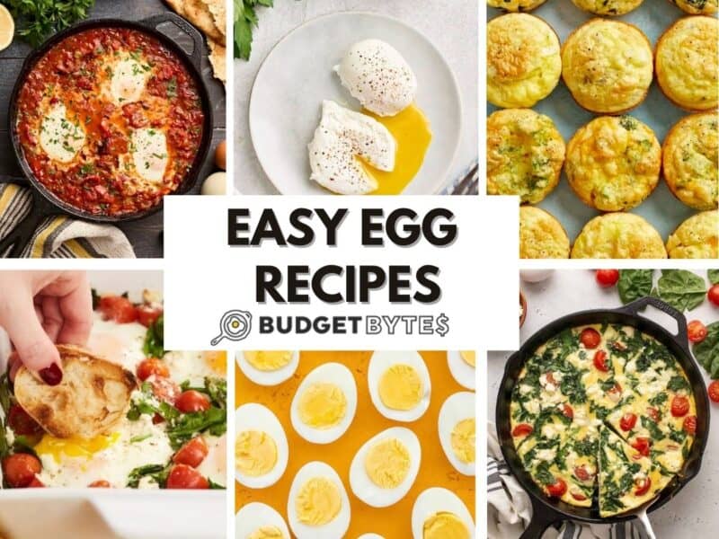collage image of various egg breakfasts