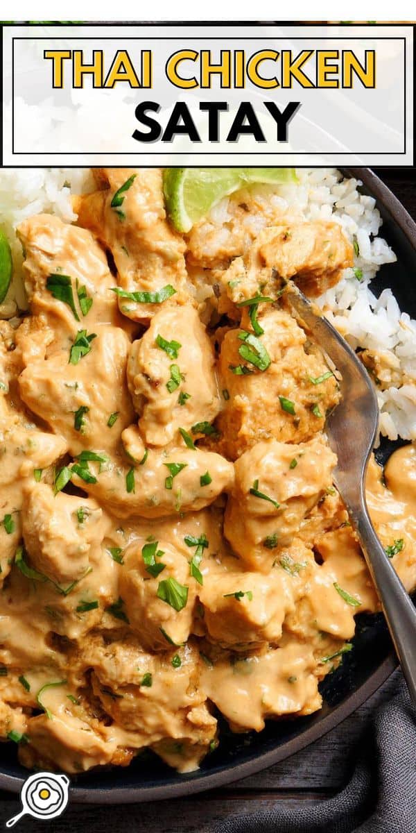 Thai Chicken Satay pin image
