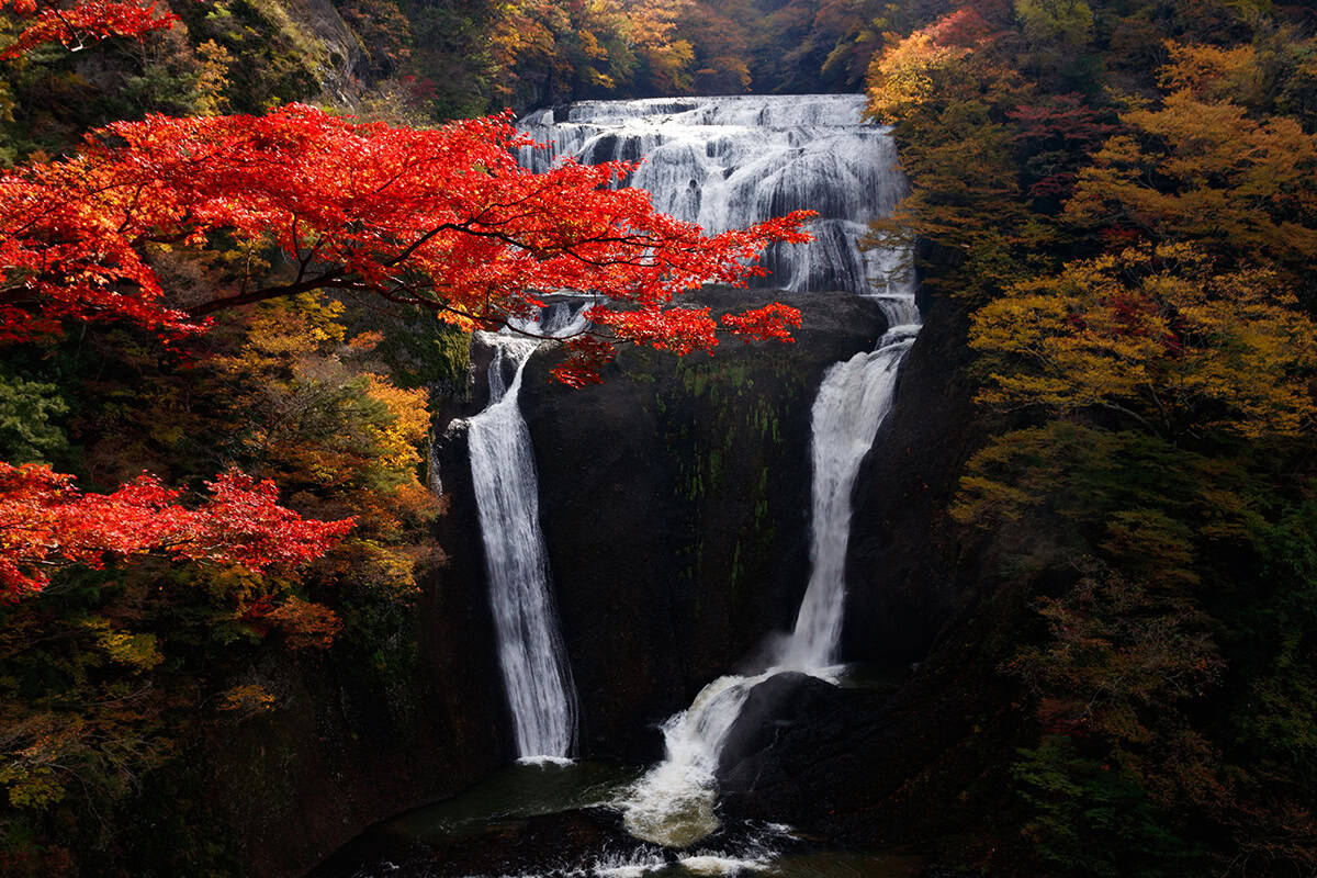 vibrant red autumn colors next to the fukuroda falls in kanto japan