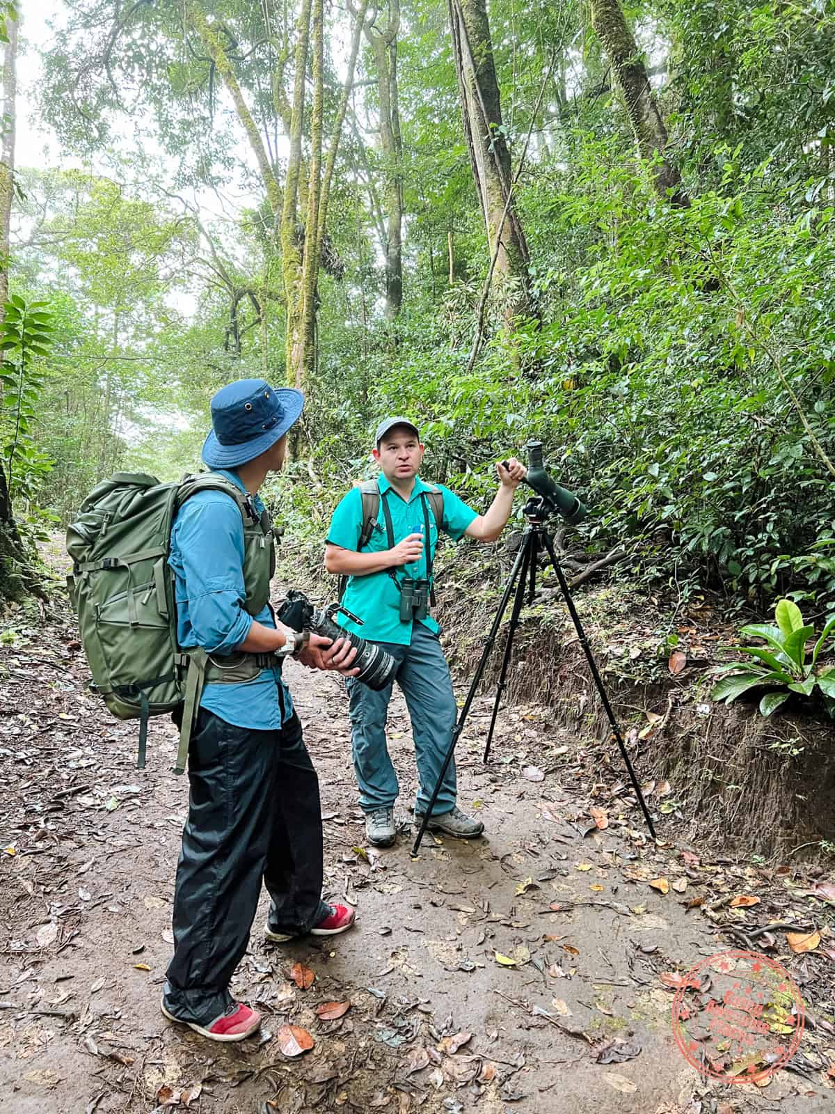 birwatching at curi cancha wildlife reserve with esteban