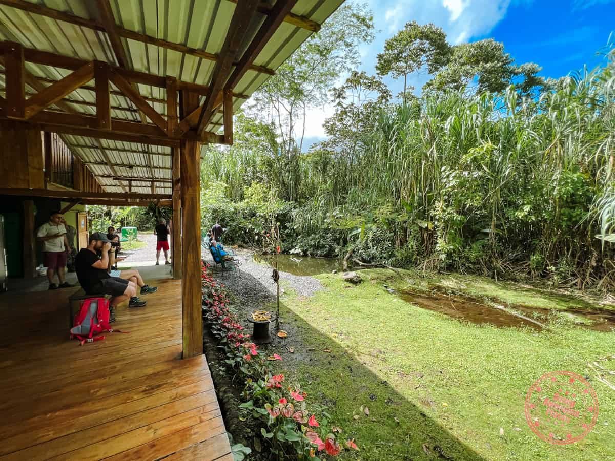 bogarin trail bird watching deck