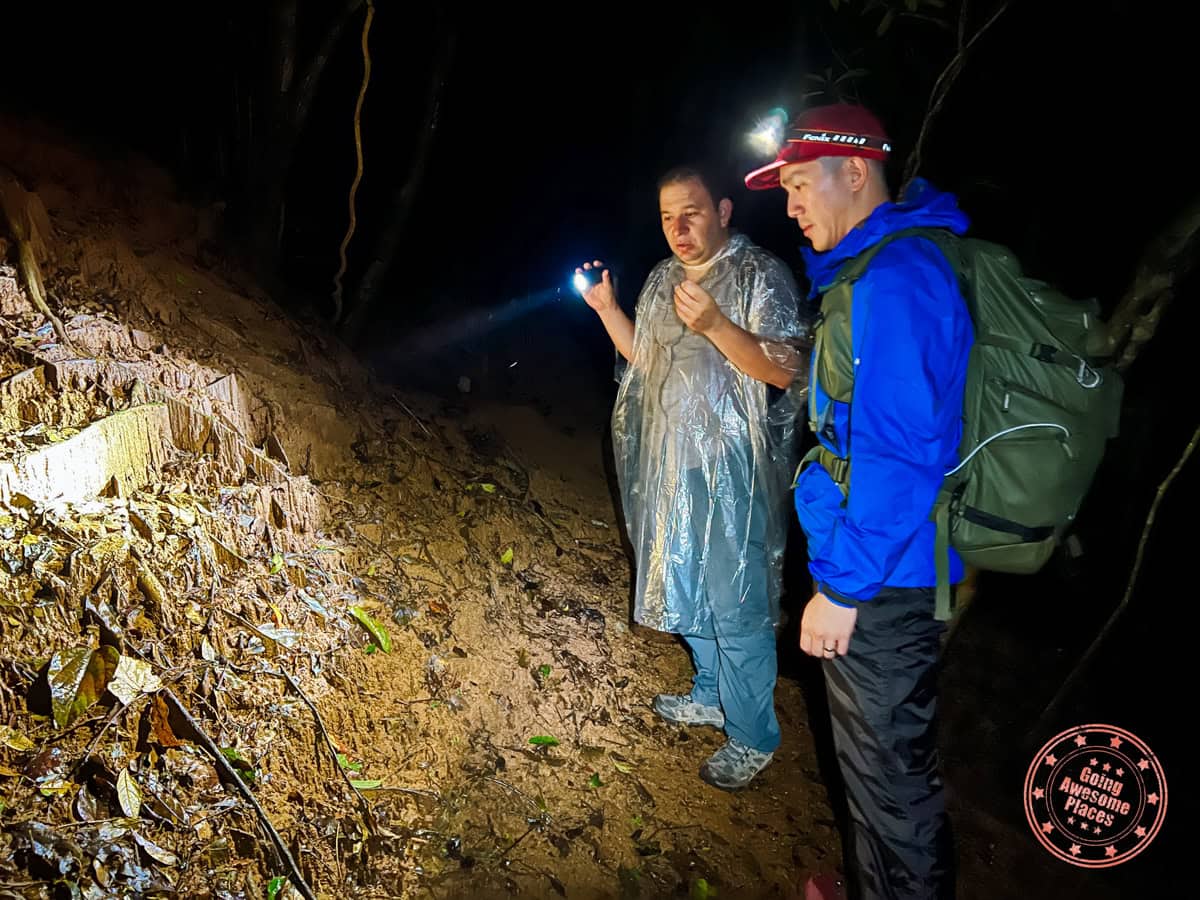 esteban private night safari guide at wildlife refuge monteverde