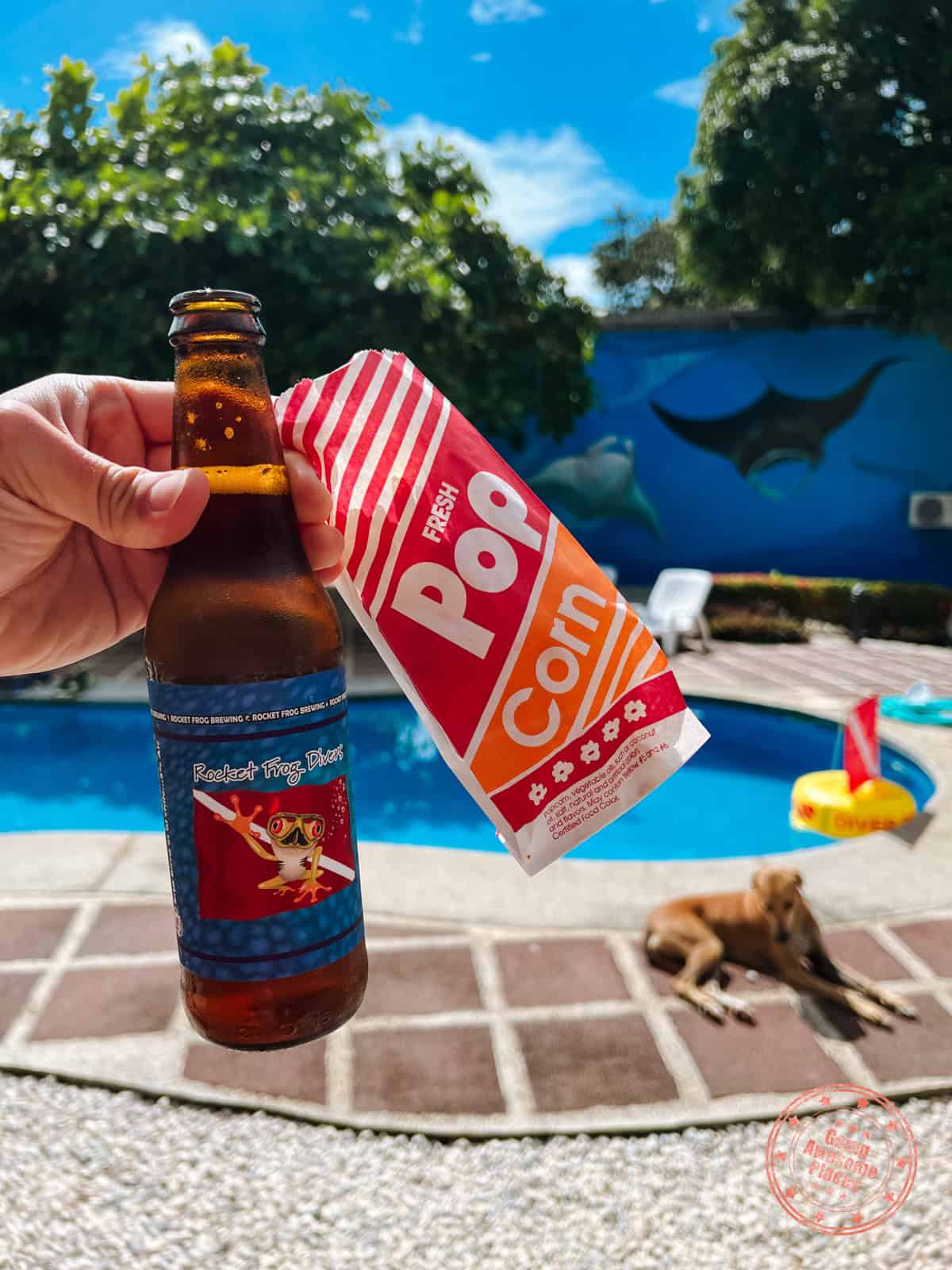 free beer and popcorn after diving trip with rocket frog divers