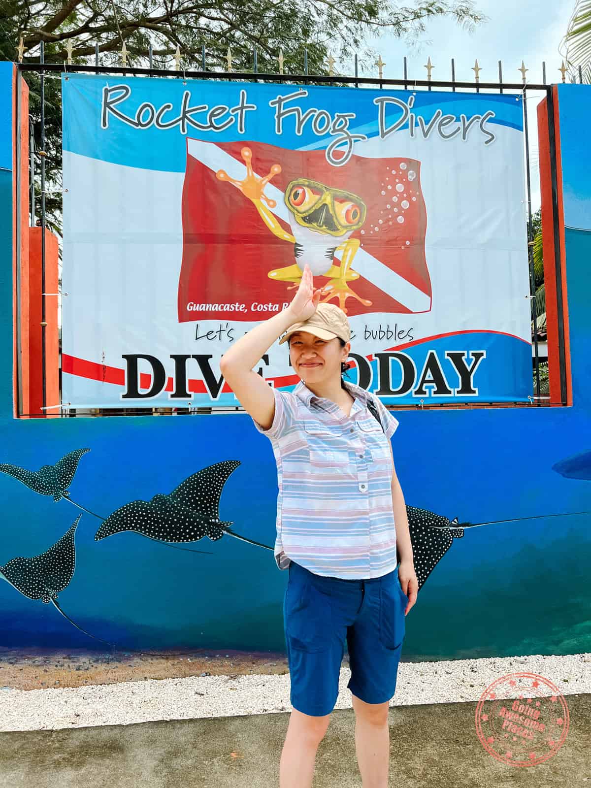 going awesome places diving with rocket frog divers