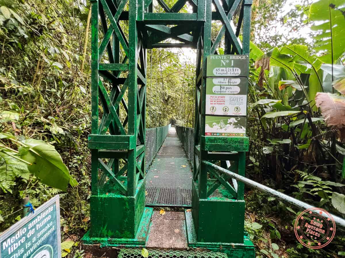 hanging bridge number 1 at selvatura park