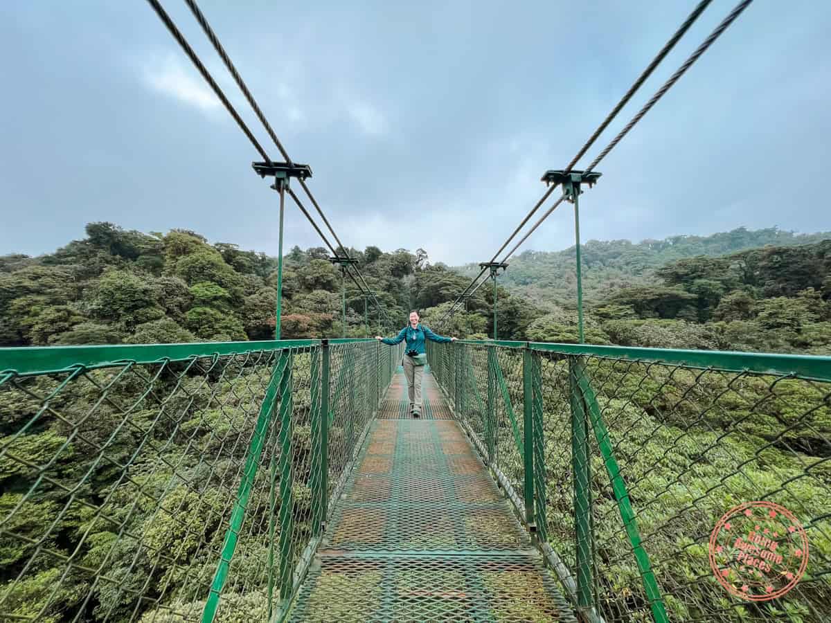 hanging bridges of selvatura park