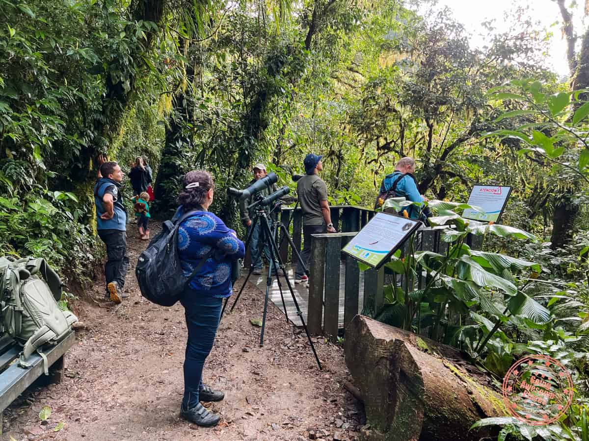 monteverde cloud forest reserve birdwatching observation deck
