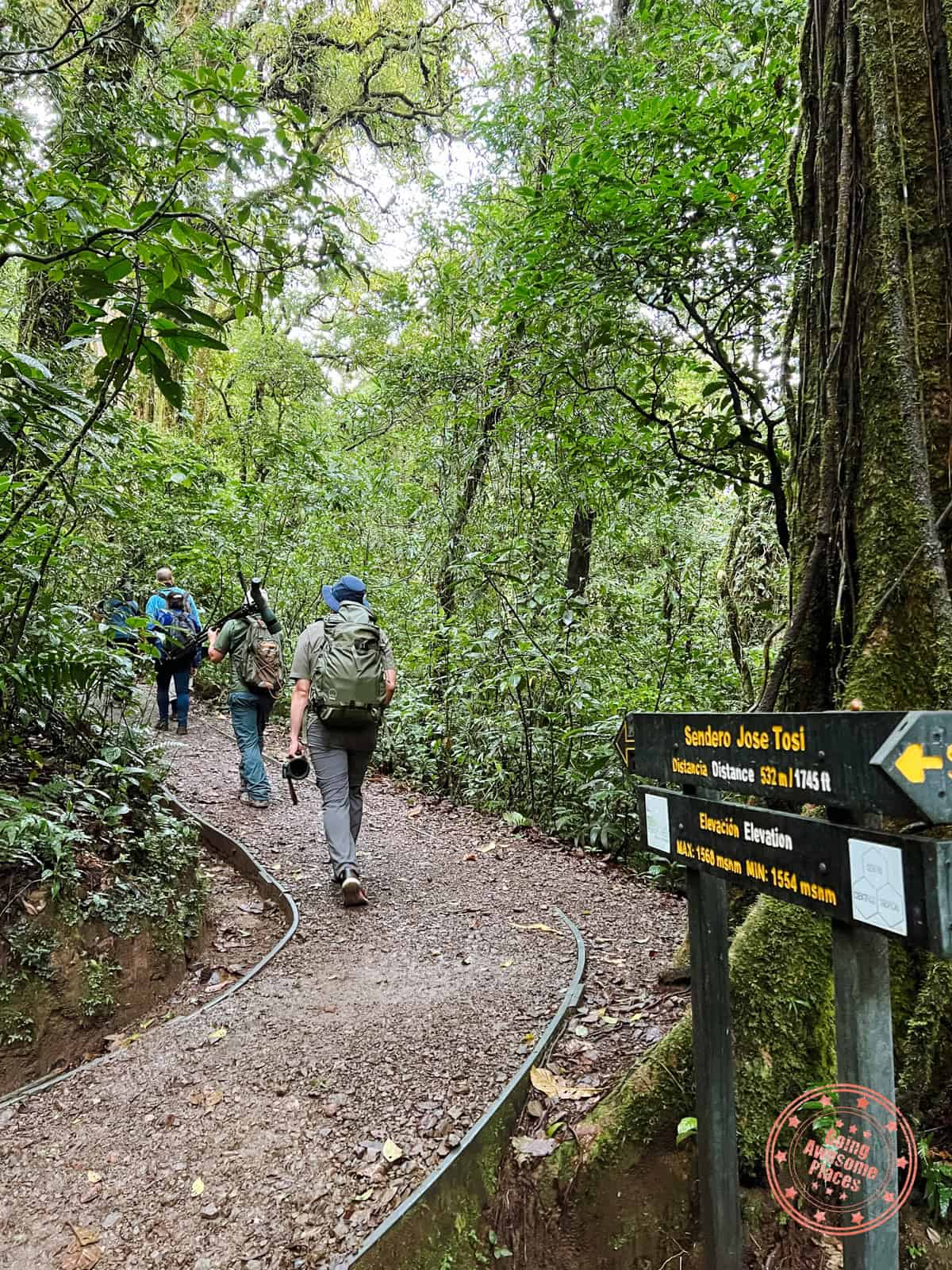 monteverde cloud forest walking the sendero jose tosi trail