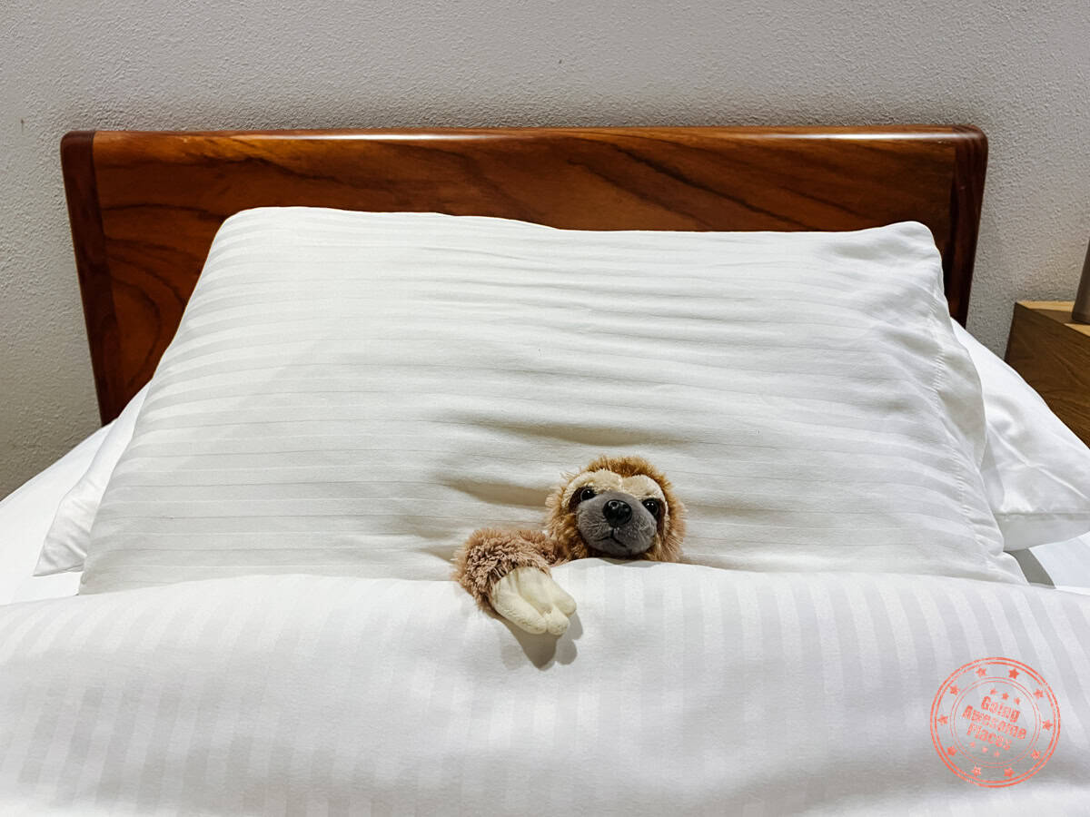 sloth stuffed animal snuggled up in bed