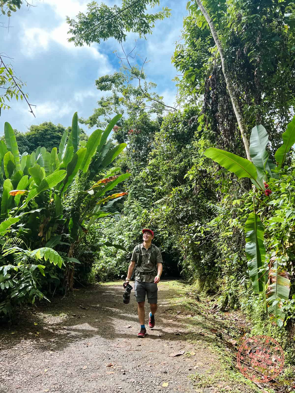 walking around bogarin trail in costa rica