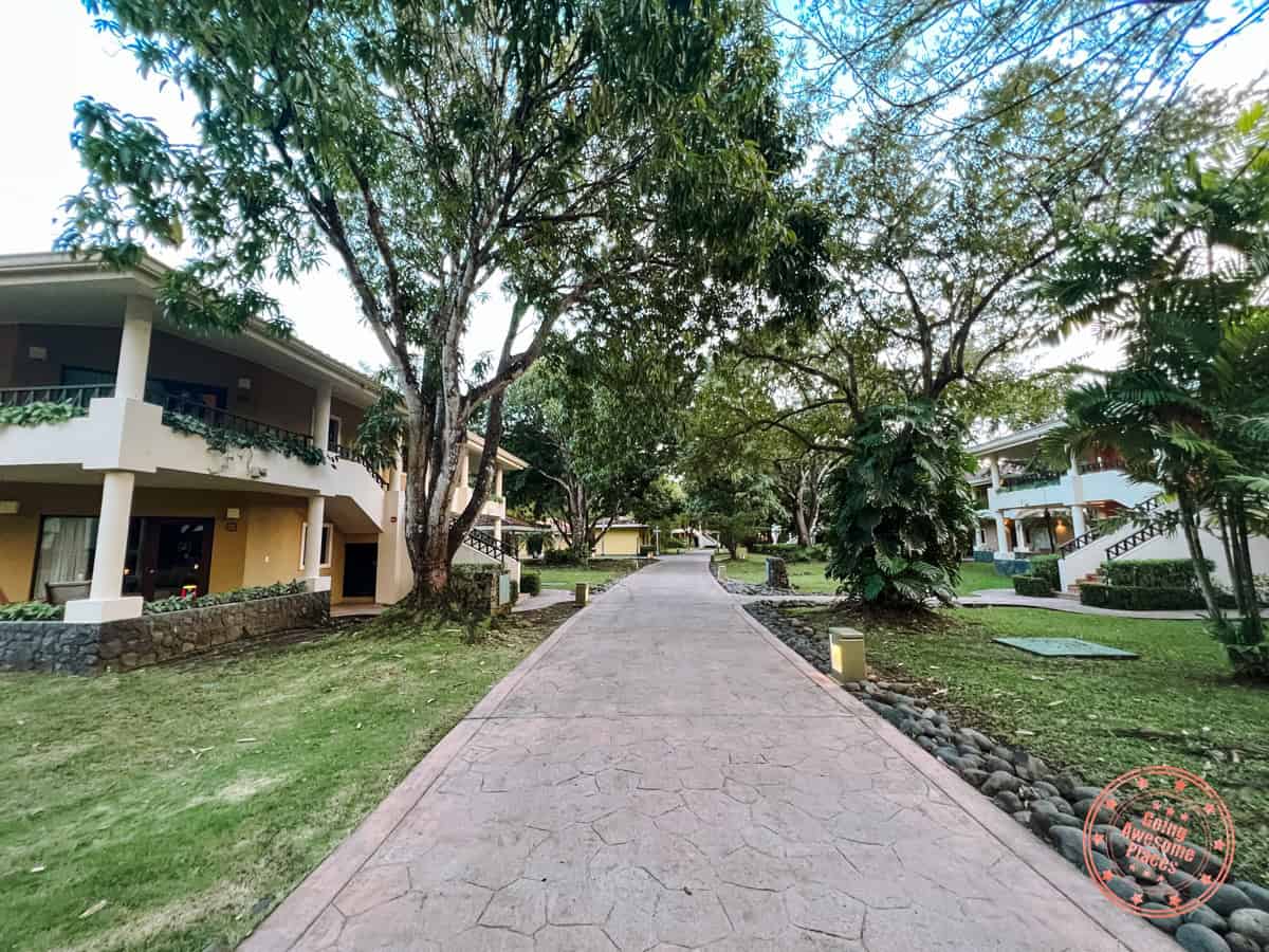 westin reserva conchal resort suite units