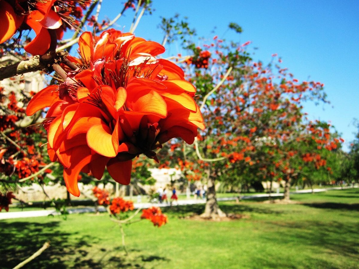 valencia with kids - What Slowing Down in Valencia Actually Looks Like With Kids Turia Gardens in Valencia, Spain.