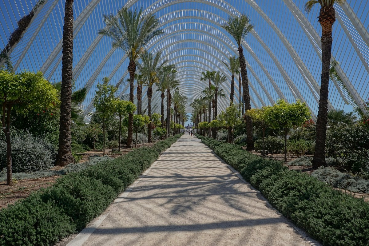valencia with kids - What Slowing Down in Valencia Actually Looks Like With Kids Valencia, city of arts and science.