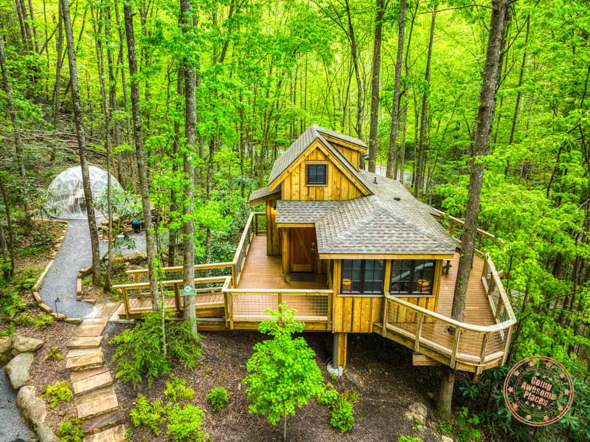 maple treehouse grove in gatlinburg tennessee