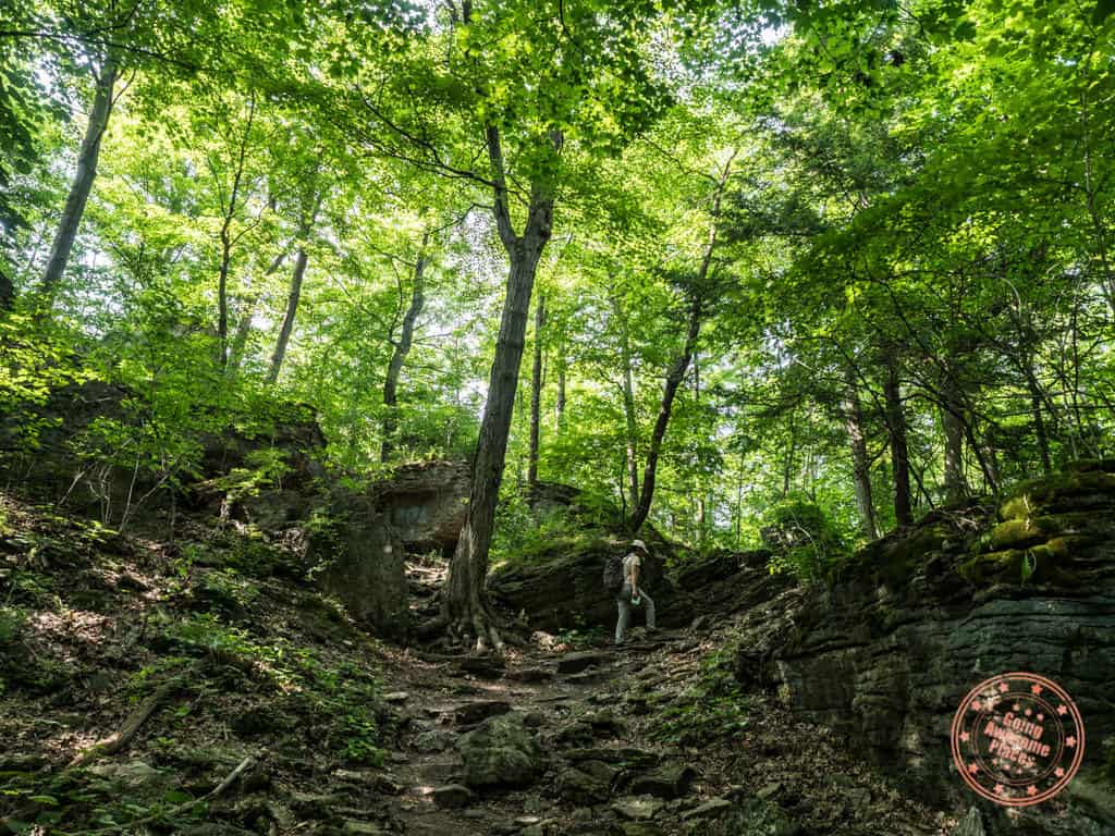 niagara glen nature centre hiking trails