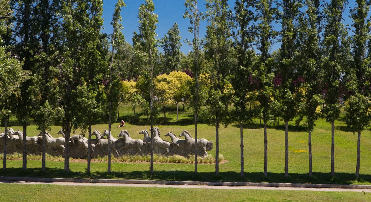 picnic spots in barcelona - Barcelona’s Best Picnic Spots for a Slower Day Outdoors Parc de la Trinitat, Barcelona, Spain