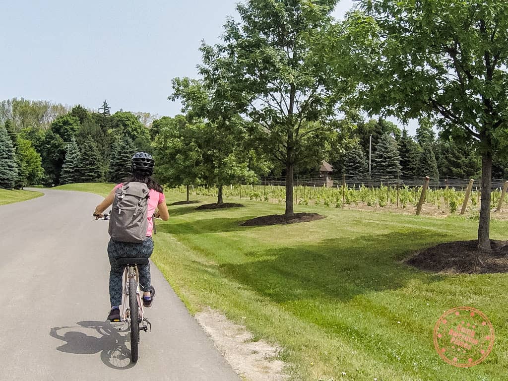 niagara on the lake winery self bike tour