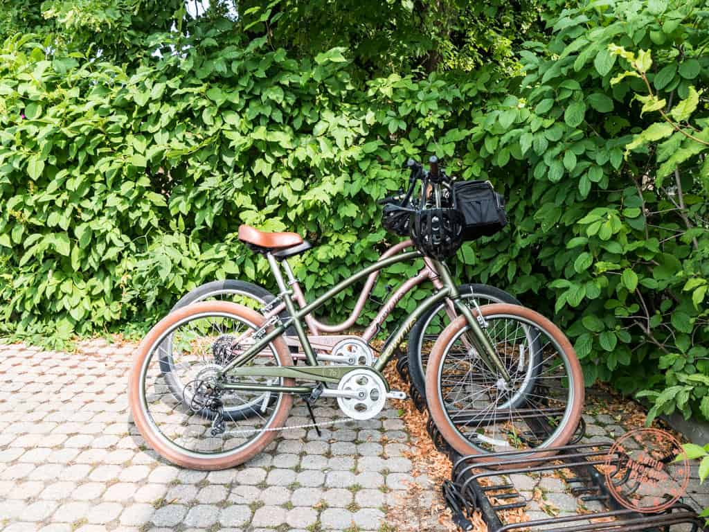 zoom leisure bike rental pick up