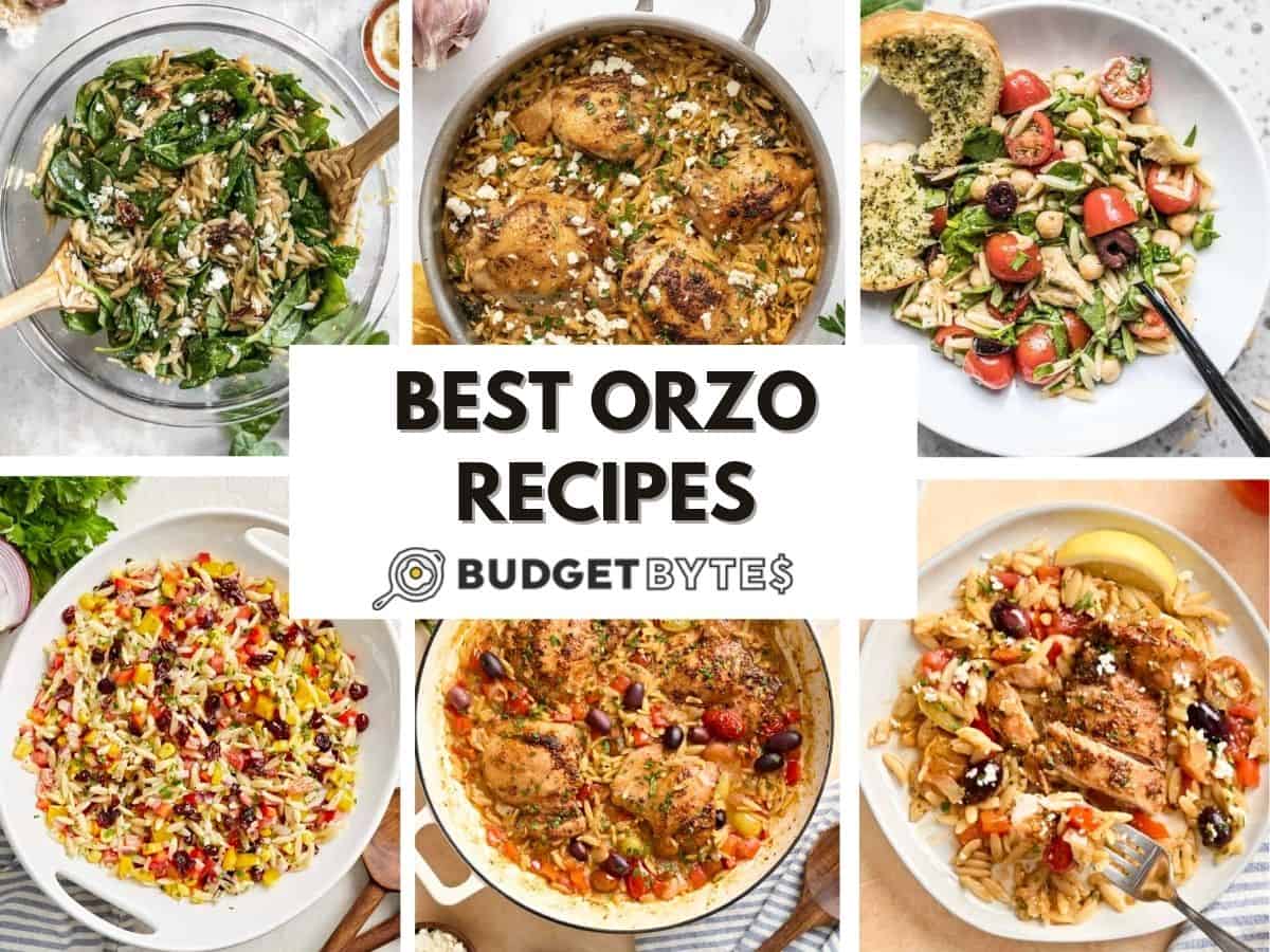 A collage of orzo recipes.
