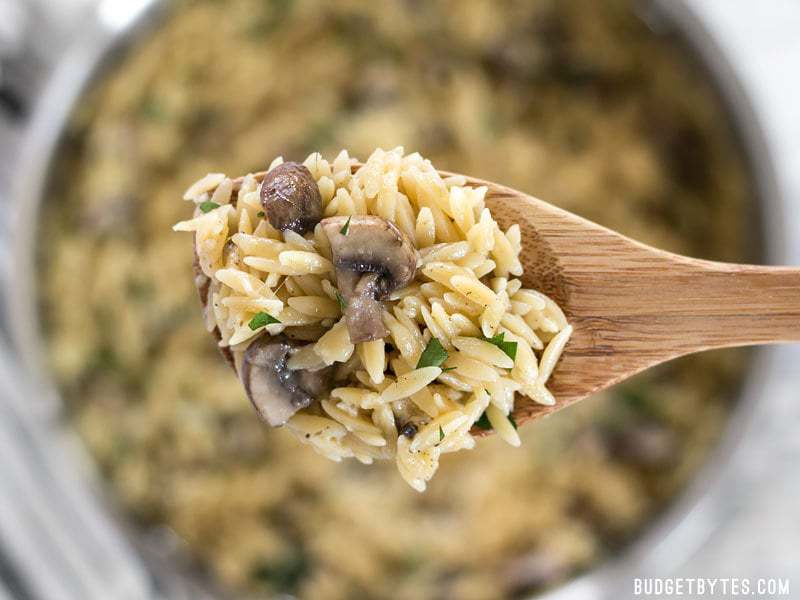 A spoon in a bowl of parmesan portobello orzo.