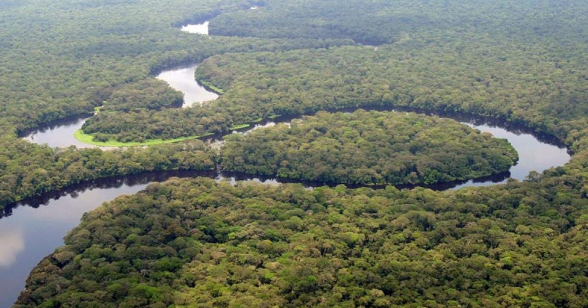 Congo River expedition, DRC