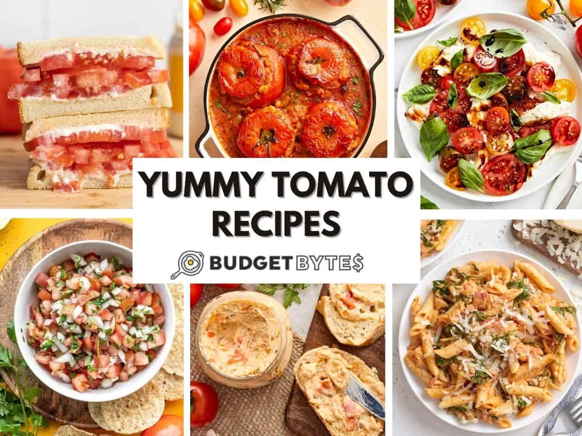 A collage of tomato recipes.