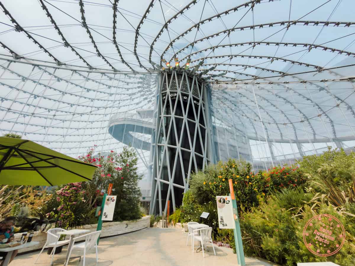 the leaf mediterranean biome
